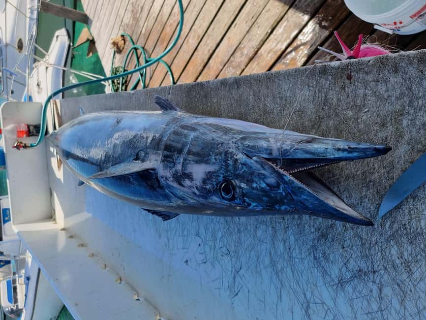 Nassau: Sport-fishing private charter . - Who will enjoy this charter most