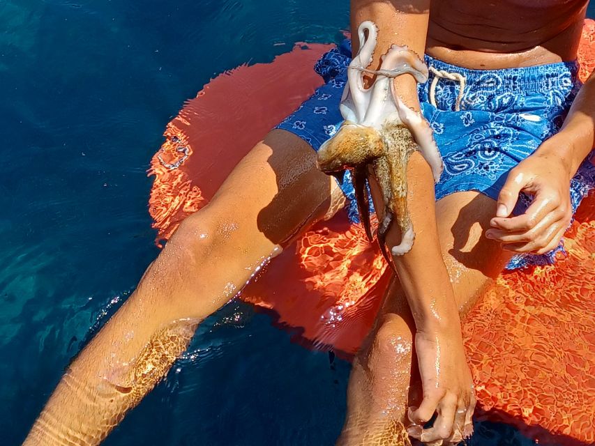 Naxos: Private Fishing Trip with Catch & Cook Onboard Meal - Key points to know before booking