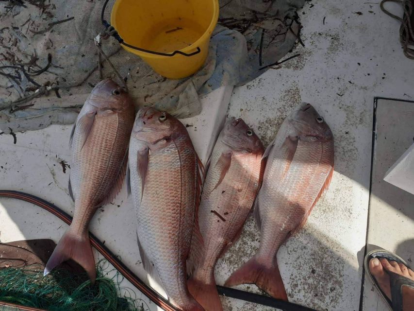 Naxos: Private Fishing Trip with Catch & Cook Onboard Meal - Kato Koufonisi is the swimming stop