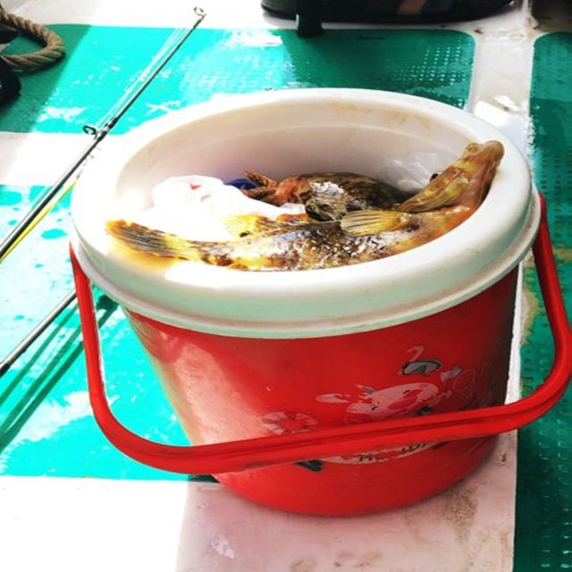 Nha Trang - Private Fishing tour - Who should book this outing