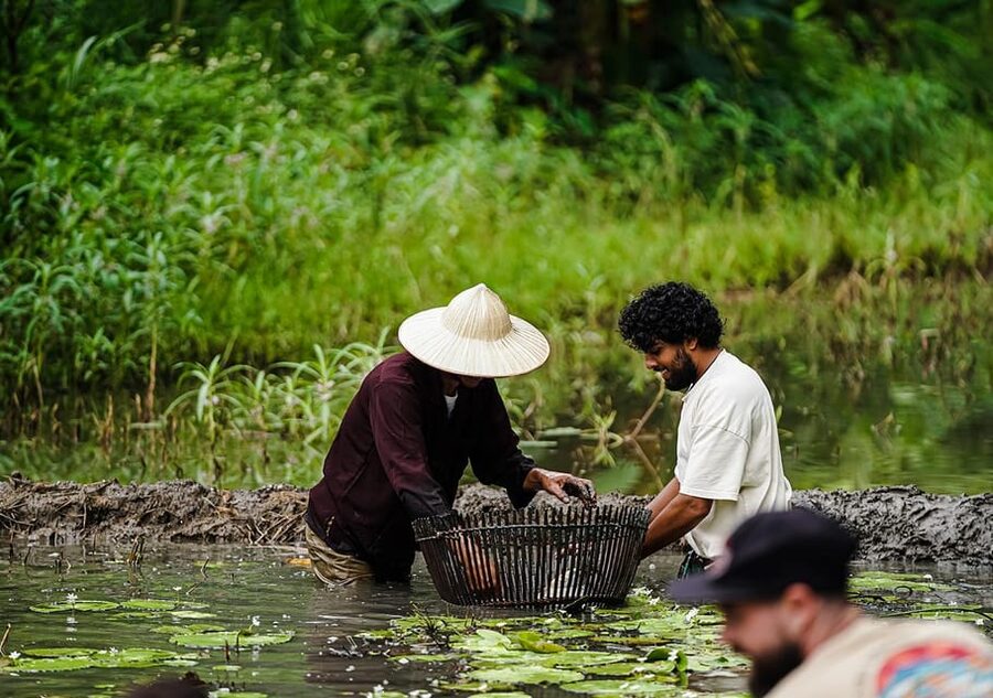 Ninh Binh: Rice planting and fishing by basket tour - Key points to know before you book