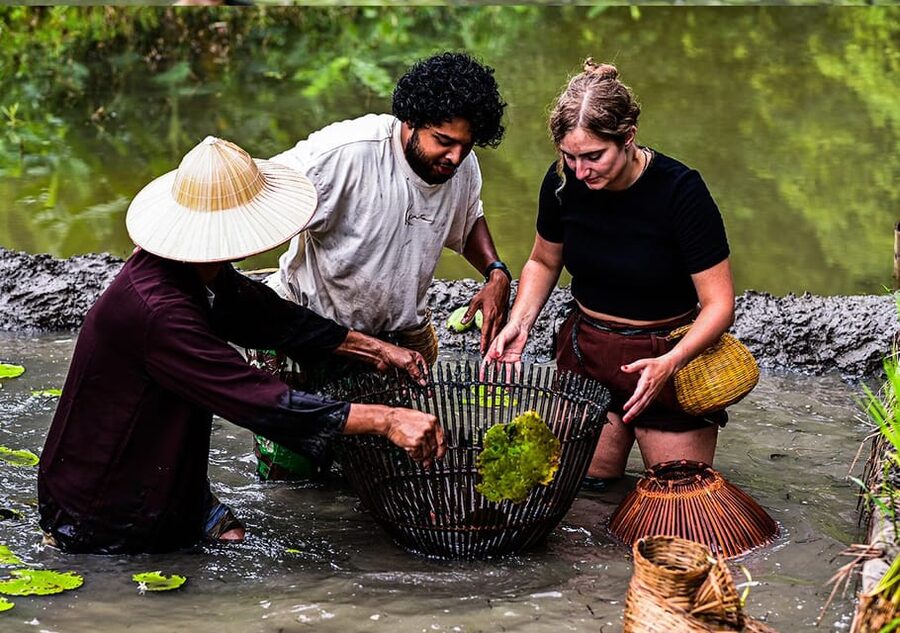 Ninh Binh: Rice planting and fishing by basket tour - Planting Vietnamese rice by hand