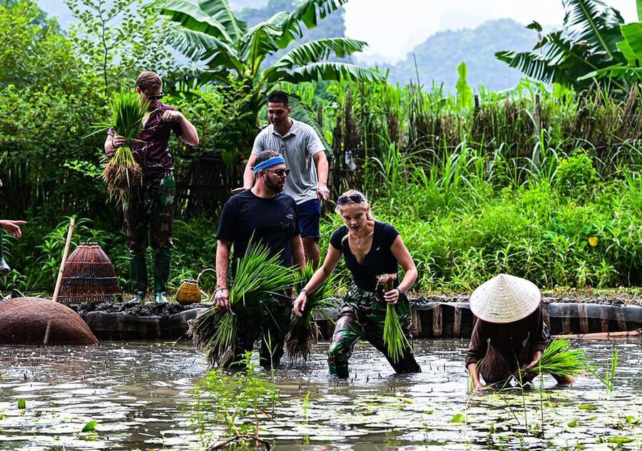 Ninh Binh: Rice planting and fishing by basket tour - Feeding, washing, and riding the buffalo