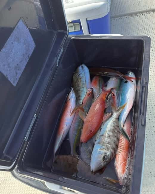 Okinawa: 1/2-Day Private Sea Fishing Charter, Naha w/Pickup - The seasickness question