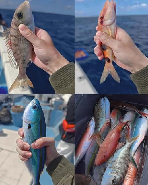 Okinawa: 1/2-Day Private Sea Fishing Charter, Naha w/Pickup - Who will enjoy this most
