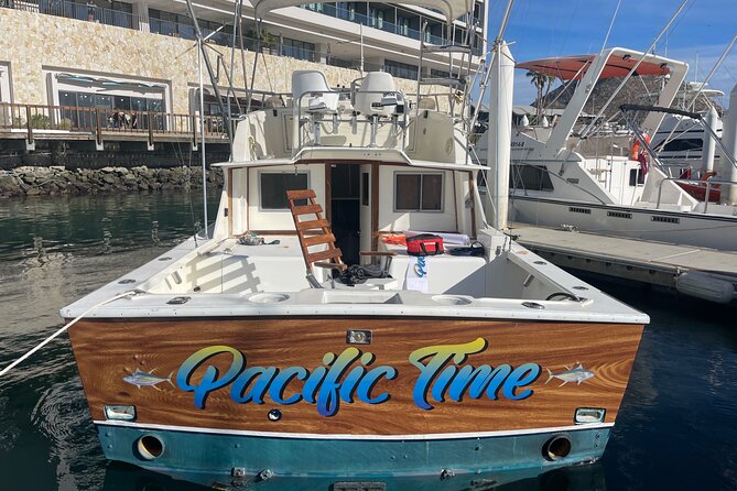 Pacifictime Sports Fishing in Cabos san lucas - Whales, dolphins, and the Cabo coastline