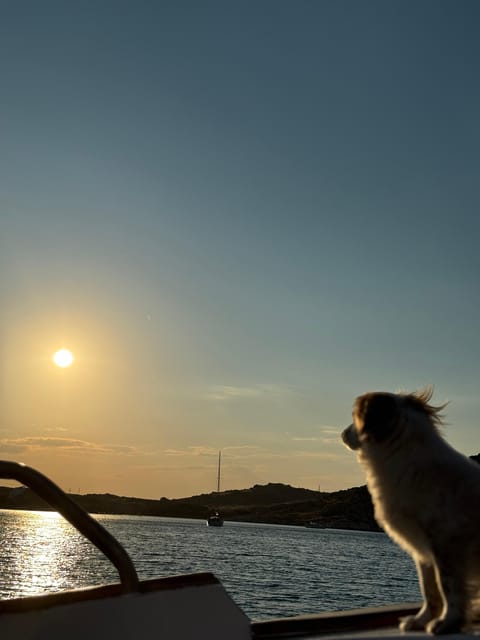 Paros: Highlights Tour with Fishing & Tasting in Naoussa - The final stop at Agia Kalli