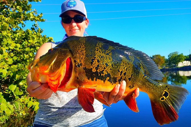 Peacock Bass Fishing Trip in Boynton Beach - What the $354.17 price really covers