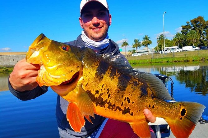 Peacock Bass Fishing Trip in Boynton Beach - Starting at John Prince Memorial Park