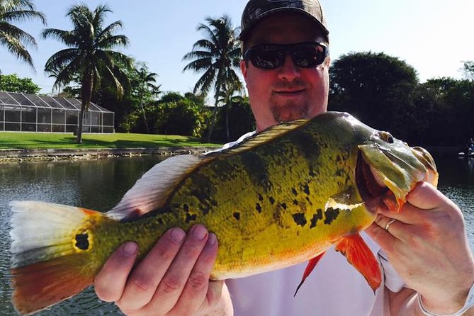 Peacock Bass Fishing Trips near Boca Raton - Four hours of guided fishing on Lake Ida