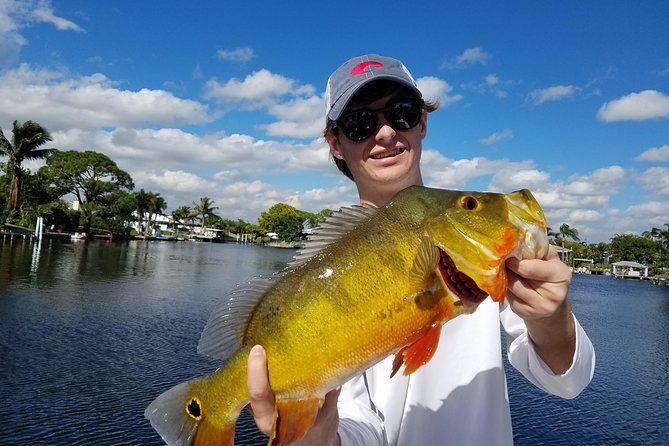 Peacock Bass Fishing Trips near Boca Raton - Gear is included, but the license is your job