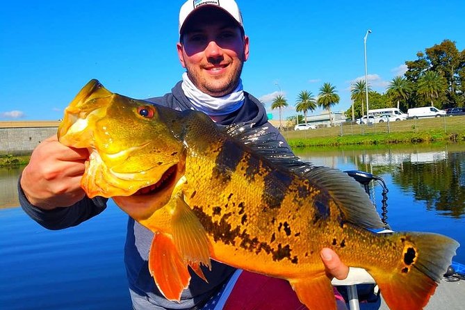 Peacock Bass Fishing Trips Near Miami Florida - Key points before you book