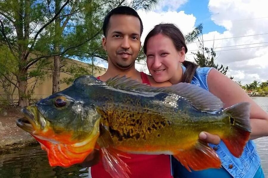 Peacock Bass Fishing Trips Near Miami Florida - A friendly guide makes the difference