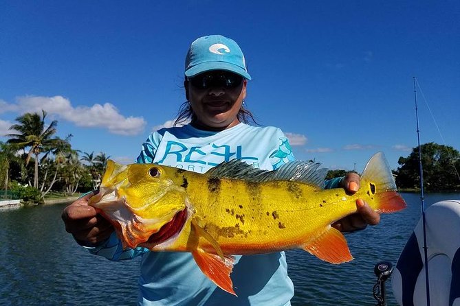 Peacock Bass Fishing Trips Near Miami Florida - The fish you may target