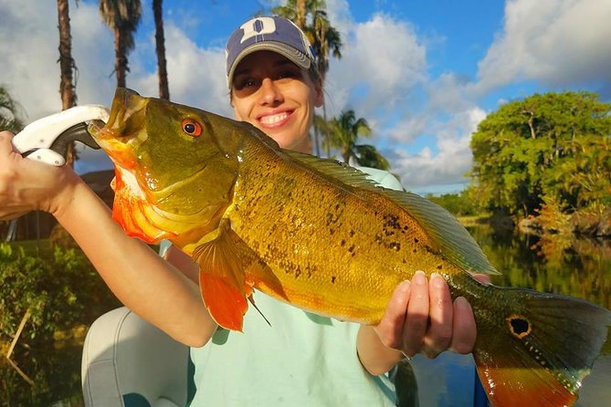Peacock Bass Fishing Trips Near Miami Florida - Is $525 a good value?