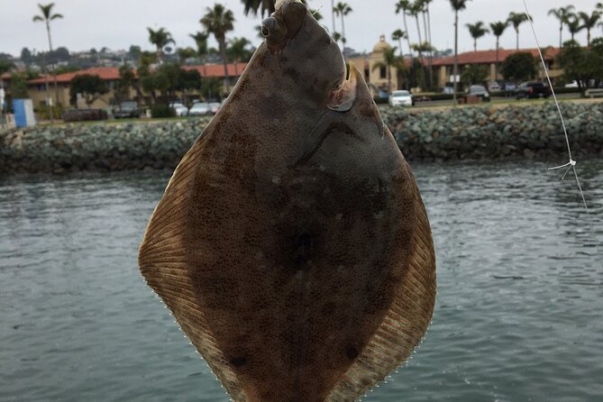 Pier Fishing Tour - San Diego - Who should book this Shelter Island outing