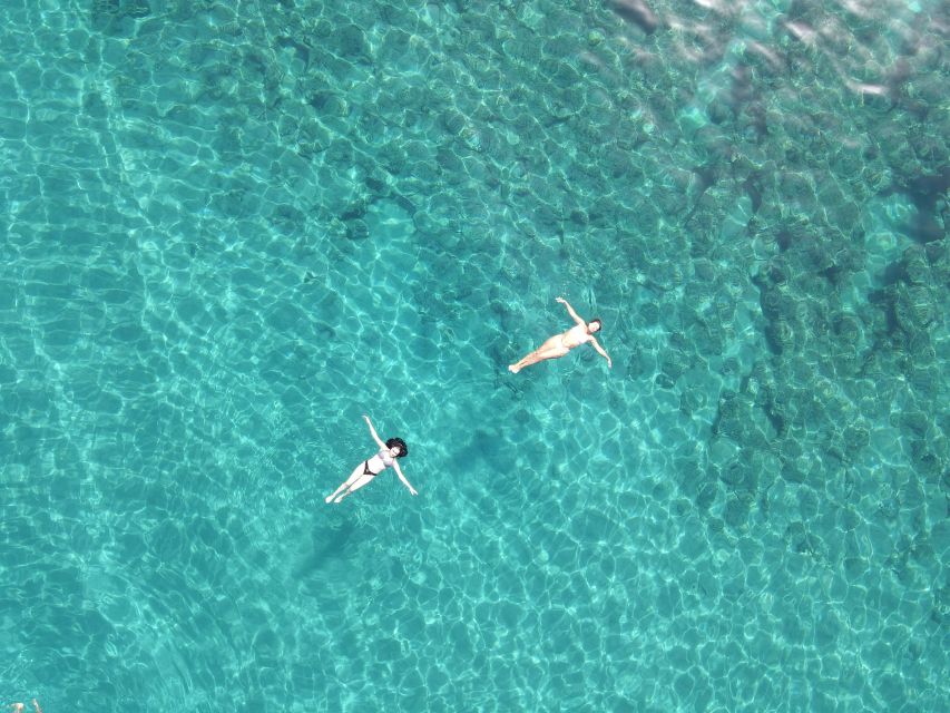 Pizzo: Fishing, Snorkeling, Dolphin Watching - FAQ