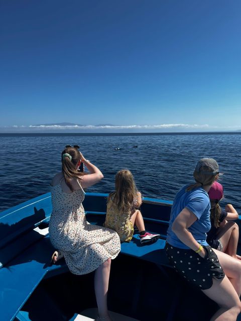 Pizzo: Fishing, Snorkeling, Dolphin Watching - Swimming Near Piedigrotta