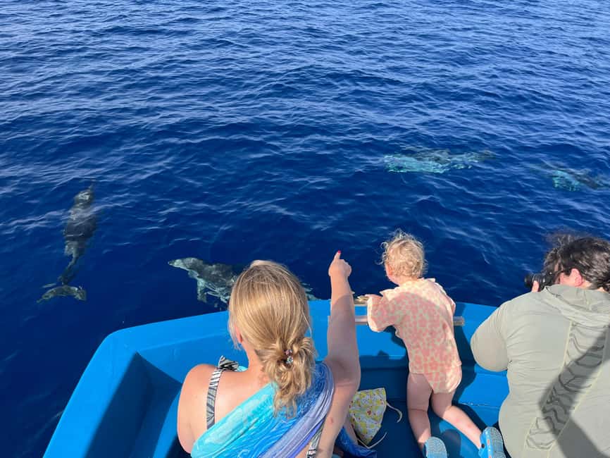 Pizzo: Fishing, Snorkeling, Dolphin Watching - Should You Book It?