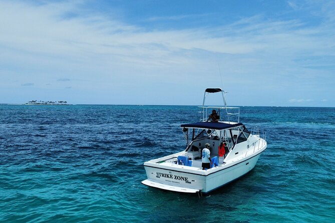 Private 38' Defender Sportfishing/Swim with Pigs in Nassau - Key points to know before you book