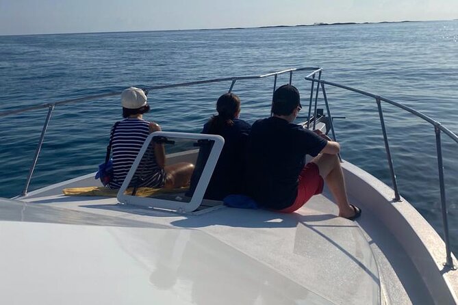 Private 38' Defender Sportfishing/Swim with Pigs in Nassau - Rose Island reef snorkeling