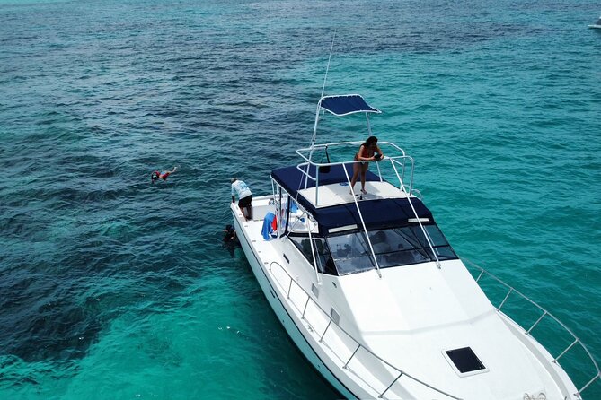 Private 38' Defender Sportfishing/Swim with Pigs in Nassau - Who will get the most from this charter