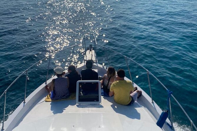 Private 38' Defender Sportfishing/Swim with Pigs in Nassau - Leaving from Margaritaville Bahamas2 Marina