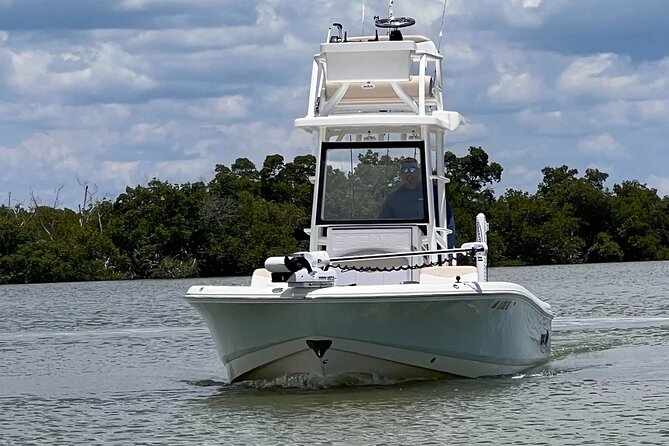 Private 4 Hour Shelling , Fishing and Eco Tour Marco Island FL - What the $675 price really covers