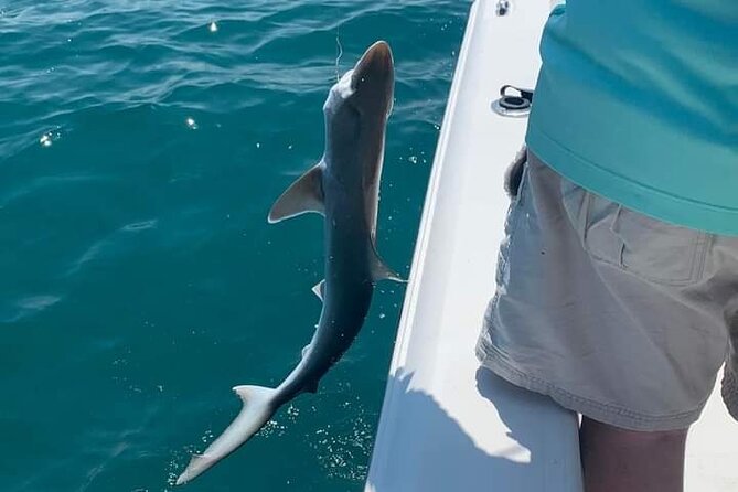 Private 4 hr Fishing Tour with Master Captain Bill Phillips - What the Sunshine Skyway Bridge adds