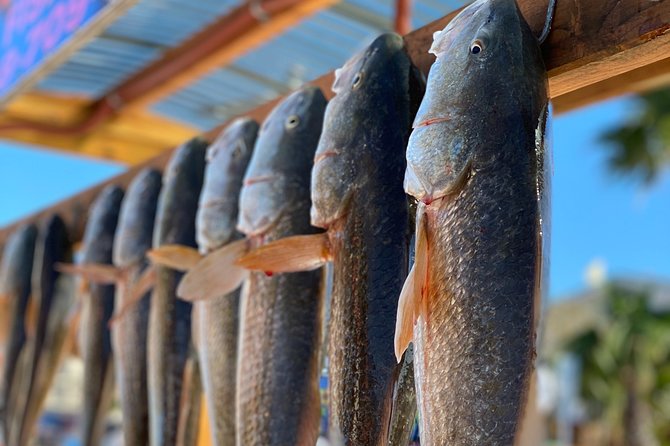 Private Bay Fishing South Padre Island - Key points to know before you book