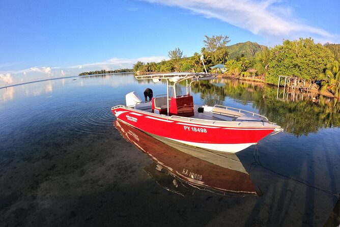 Private Big Game Fishing Day - The lagoon sandbank changes the mood