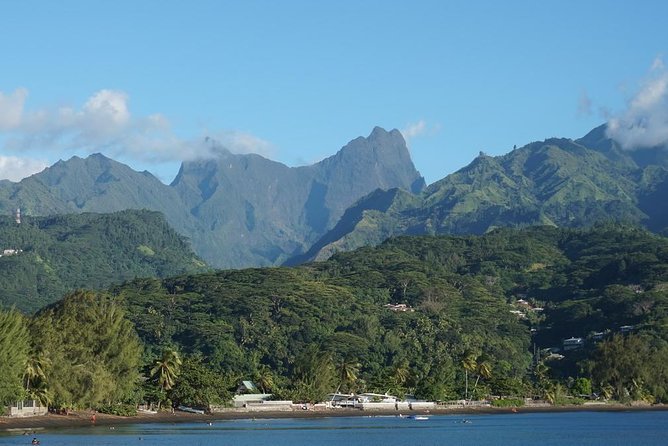 Private Big Game Fishing Day - Why the rays and sharks are part of the appeal