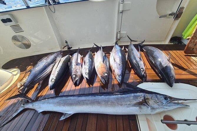 Private Boat and Fishing Tours in Greek Islands - Fishing with help from the crew