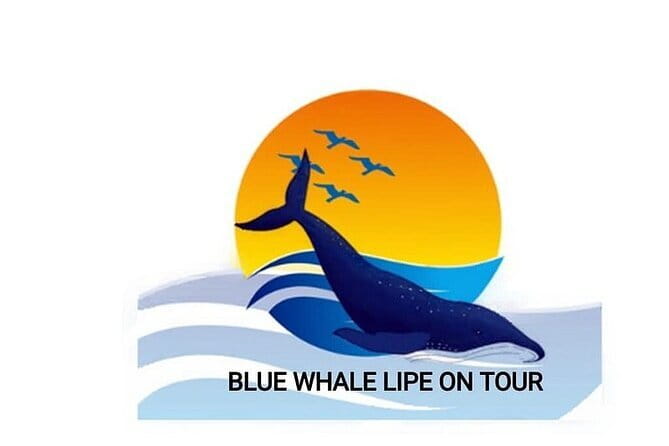 Private Experience with Fishing, Barbeque, Sashimi and Snorkeling - Fishing first, lunch from the sea