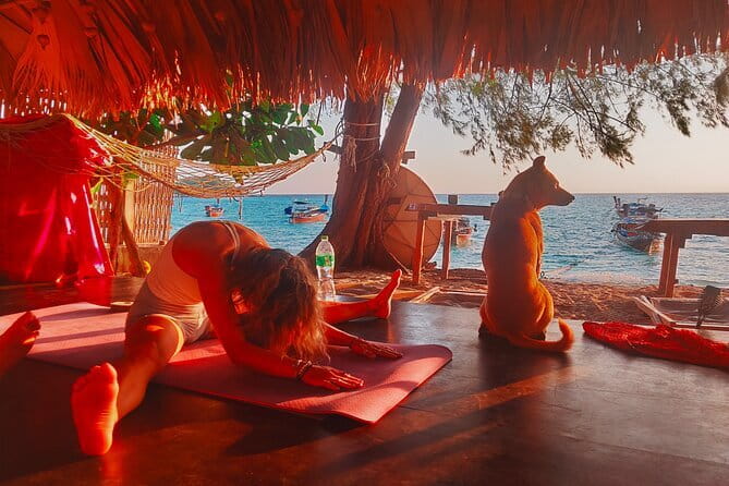 Private Experience with Fishing, Barbeque, Sashimi and Snorkeling - Is the $79.06 price good value?