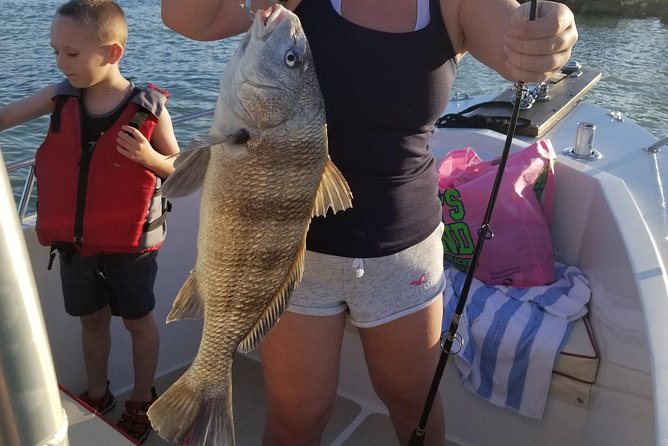 Private Fishing Boat Charters in Naples Bay and the Gulf - Dolphins, birds, and the parts between bites