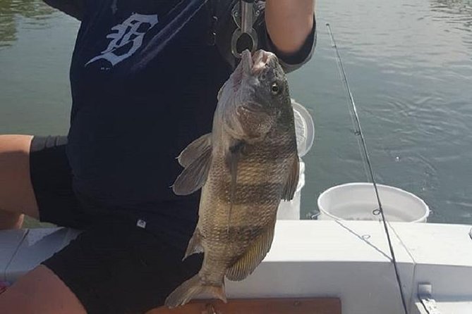 Private Fishing Boat Charters in Naples Bay and the Gulf - Price, gratuity, and what the value depends on