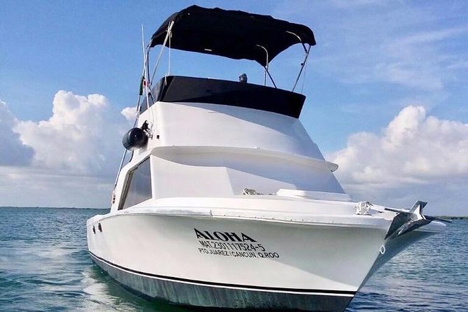Private fishing charter Bertram 31ft 6 pax max if you don't fish you don't pay - Fish you might catch around Isla Mujeres