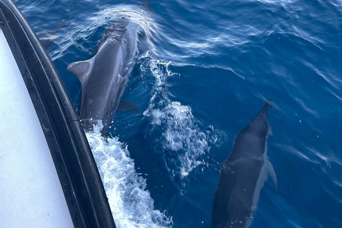 Private Fishing Charter for Family and Friends in Honolulu - Honolulu views from the water