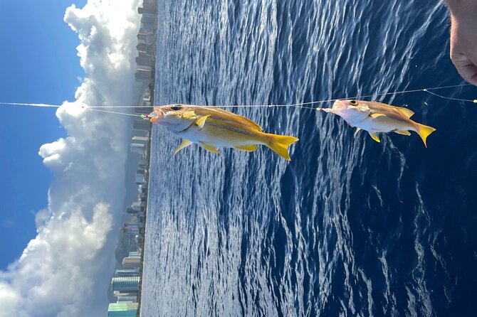 Private Fishing Charter for Family and Friends in Honolulu - What to bring for a comfortable outing