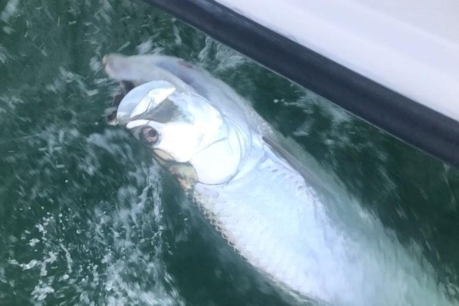 Private Fishing Charter from Ramrod Key - Is $500 good value for two people?