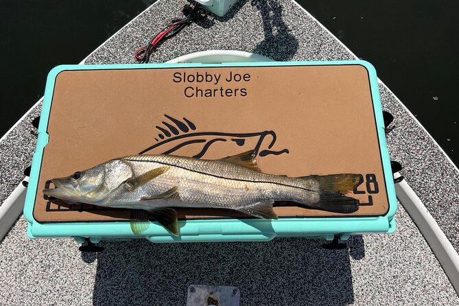 Private Fishing Charter in Tampa - Gear, bait, and what you need to bring