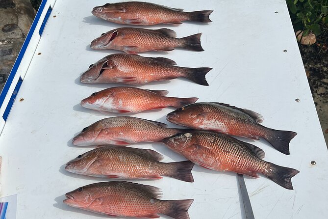 Private Fishing Charter in Tampa - Who will enjoy this Tampa charter most?