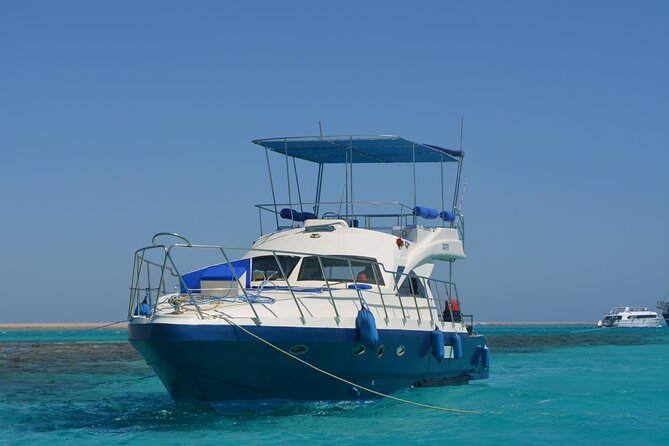Private Fishing Day Boat With Equipment and Transfer – Hurghada - The snorkeling stop in clear Red Sea water