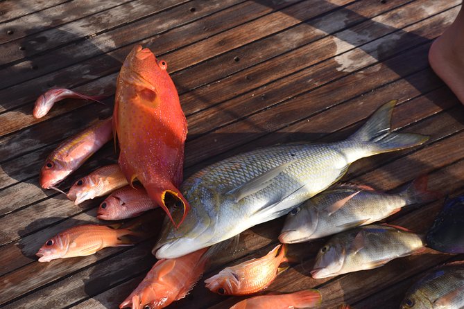 Private Fishing Day Boat With Equipment and Transfer – Hurghada - Who will enjoy this day most?