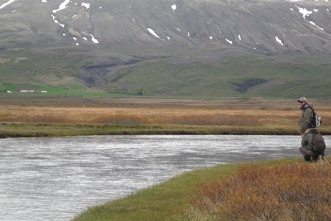Private Fishing Tour from Reykjavik - Arctic Char and Brown Trout - Is $960 per person good value?
