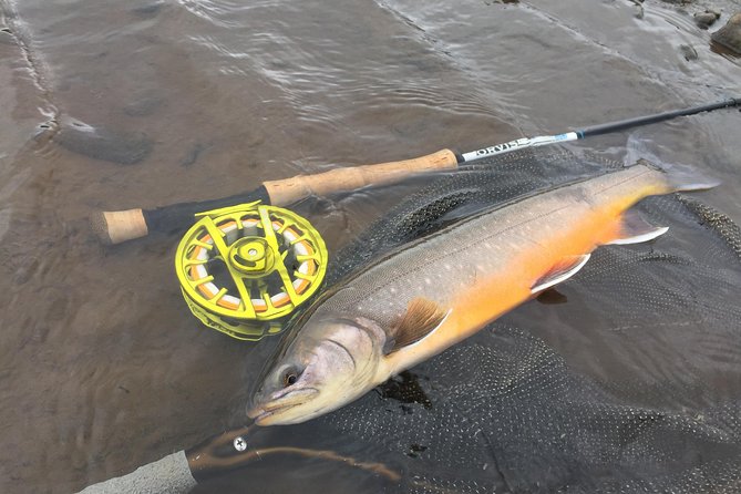 Private Fishing Tour from Reykjavik - Arctic Char and Brown Trout - Who should book this experience