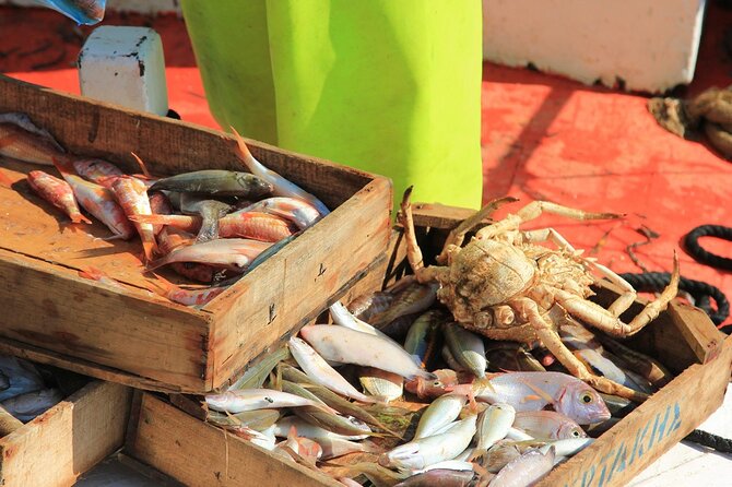 Private Fishing Trip in a Traditional Boat from Athens - Rafina Port and the traditional fishing boat
