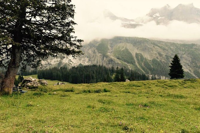 Private Fishing Trip in the Swiss Alps from Bern - Six hours around Kandersteg-Allmenalp