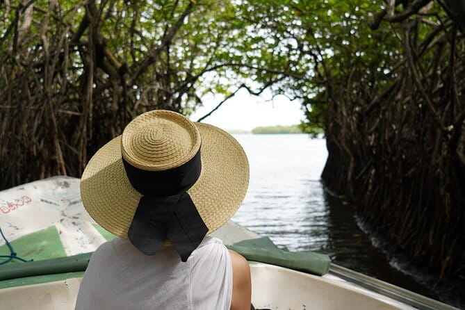 Private Galle Day Tour with River Safari, Stilt fishing & Turtles - Starting with turtles at Galbokka